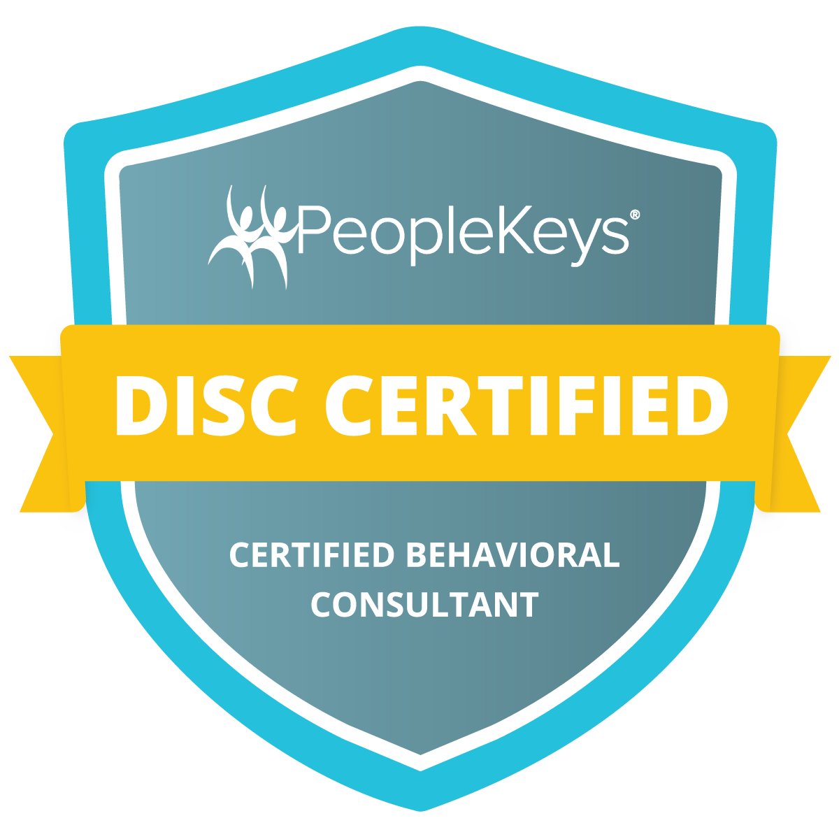 DISC Certification