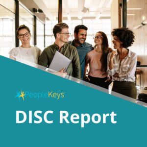 peoplekeys disc report cover